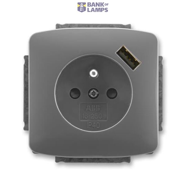 5569A-A02357 S2 Socket outlet with earthing pin, shuttered, with USB charging image 1