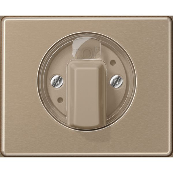 Afdekking draaischak. SL500 goudbrons image 1