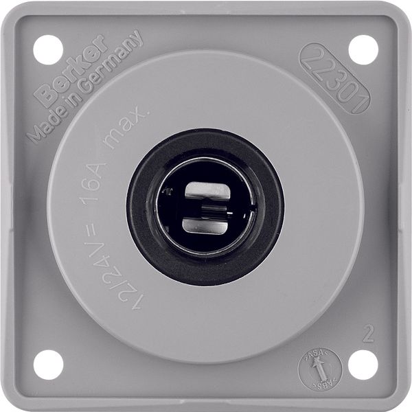 Socket outlet 12 V, Integro Module inserts, grey glossy image 1