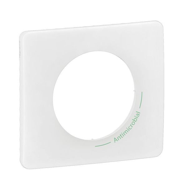 PLATE 1G ANTIMICROBIAL image 2