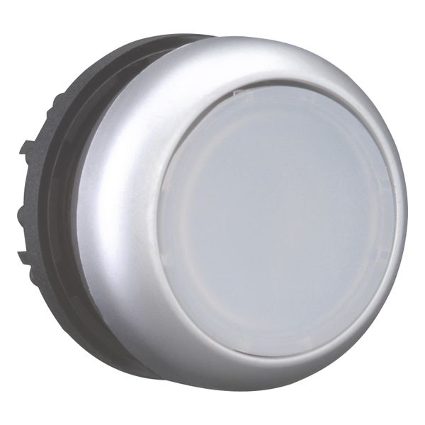 M22-DRL-W Illuminated pushbutton actuator, RMQ-Titan, Flush, maintained, White, Blank, Bezel: titanium image 14