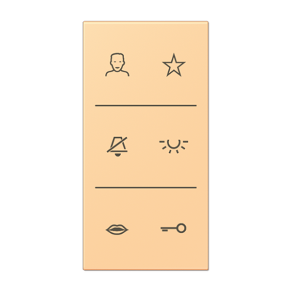 Symbol cover video LC4320P SIV6LCDC258 image 1