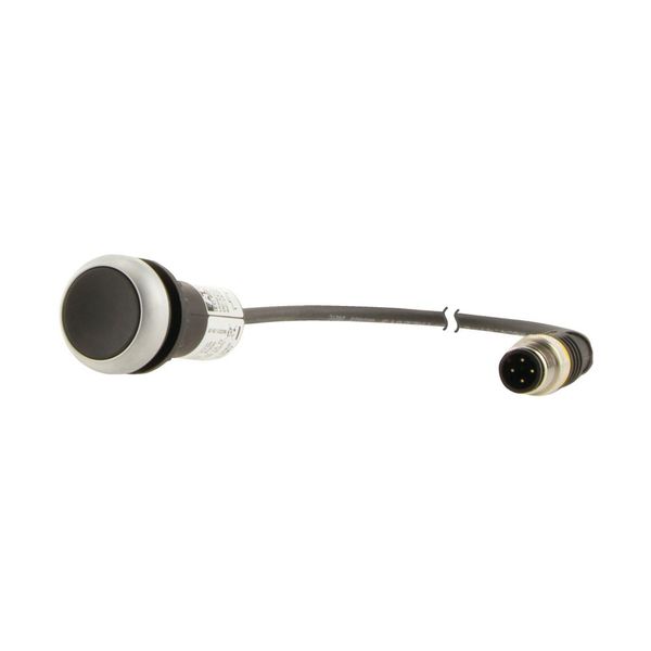 C22-D-S-K01-P5 Pushbutton, Flat, momentary, 1 NC, Cable (black) with M12A plug, 4 pole, 1 m, black, Blank, Bezel: titanium image 9