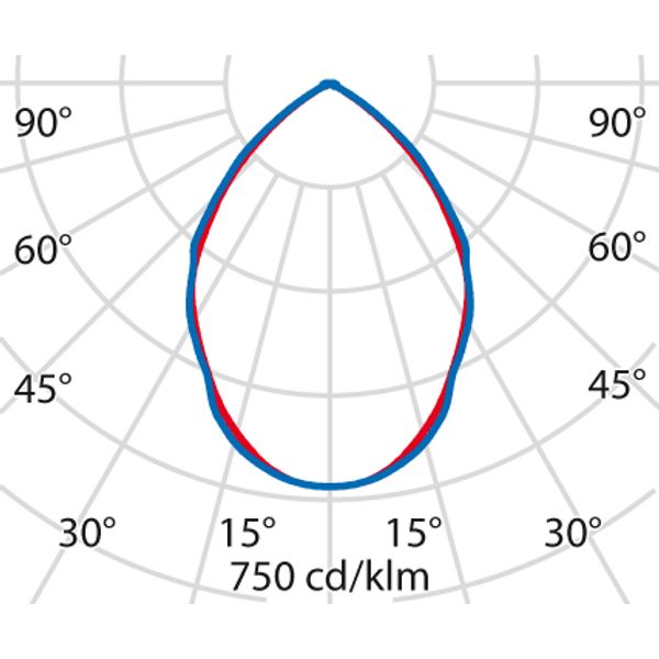 WIN PRO+ 30 130 S/EW 757 GR94 ZHU image 6