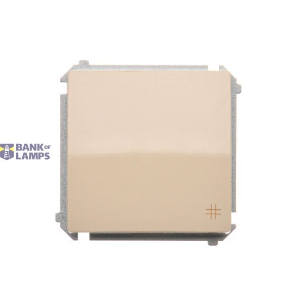 Intermediate switch, (module), 10AX, Screw, beige image 1