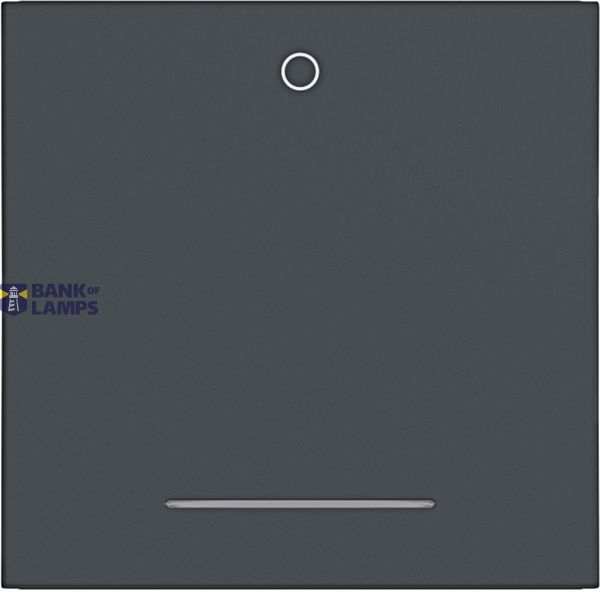 Rocker single with "0" imprint, clear lens, A.x/C.x, anthracite image 1