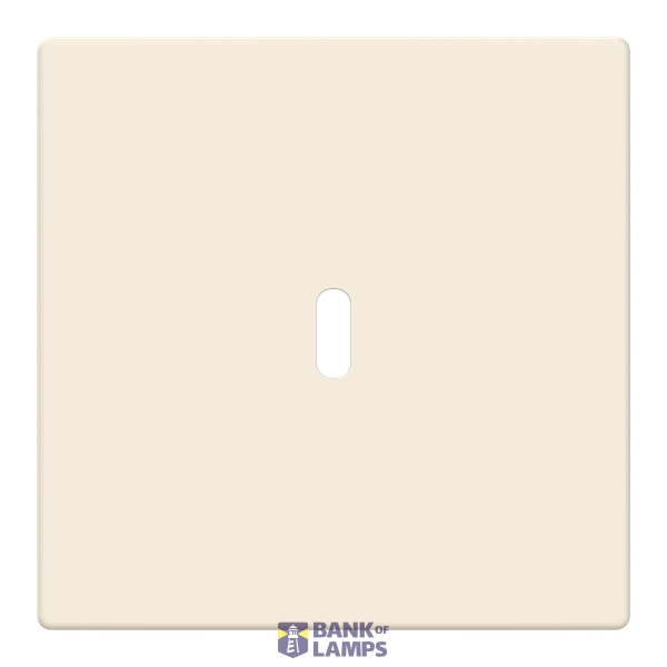 6479-82-500 Cover plate for USB C power adapter image 1
