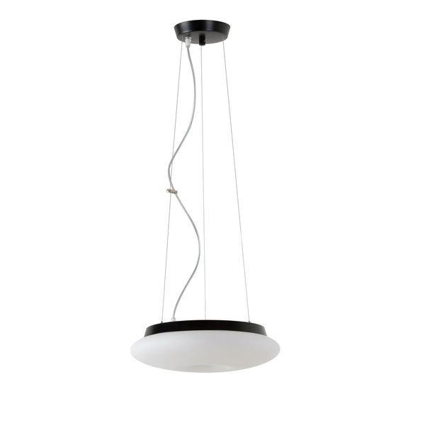 LED-1L61C03ZL11/462/L100 C 4000 image 1