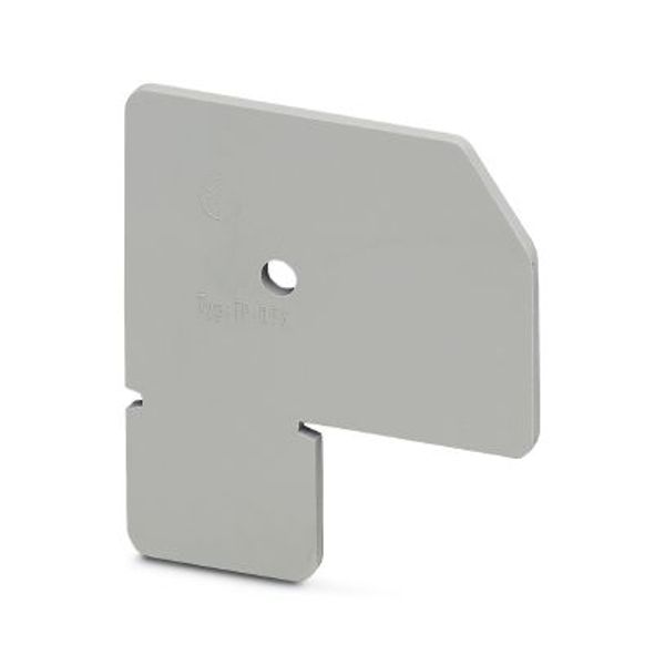 TP-DFK - Separating plate image 1