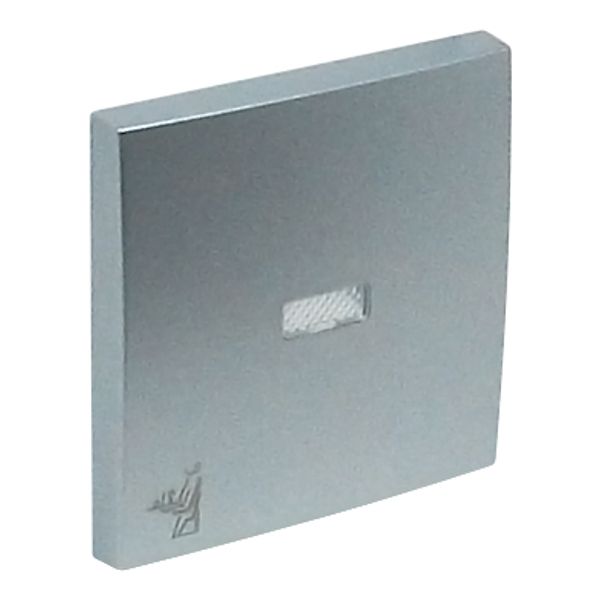 ROCK F/LIGHT SWITCH/PUSH-BUT W/MAID SYMB ALUM image 2