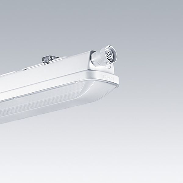 AQFPRO S LED5200-840 PC MB HF QC3 - LED waterproof luminaire image 2