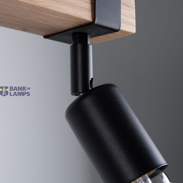 CEILING LAMP ZUCA 2 BLACK E27 2X15W IP20 image 8