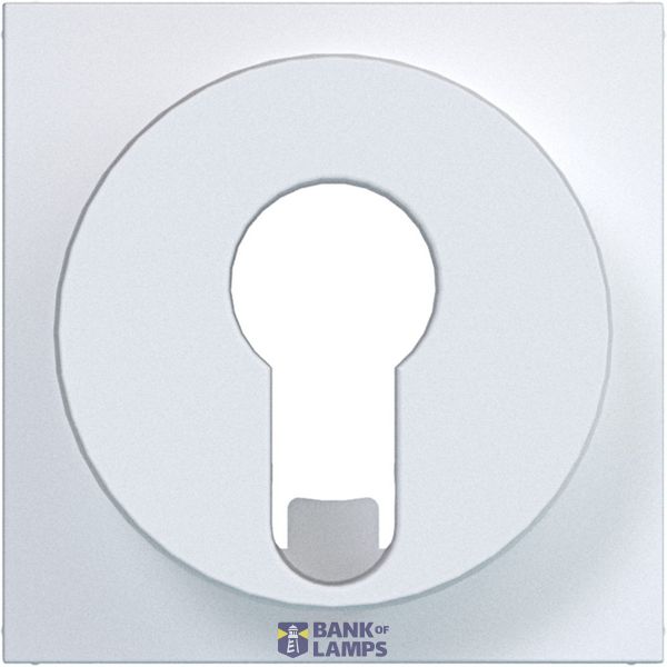 Central plate blind switch/momentary push button DIN cylinder A.x/C.x matte white image 1