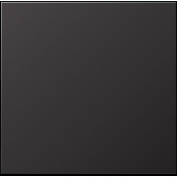 Centre plate with hinged lid AL2990KLD image 5