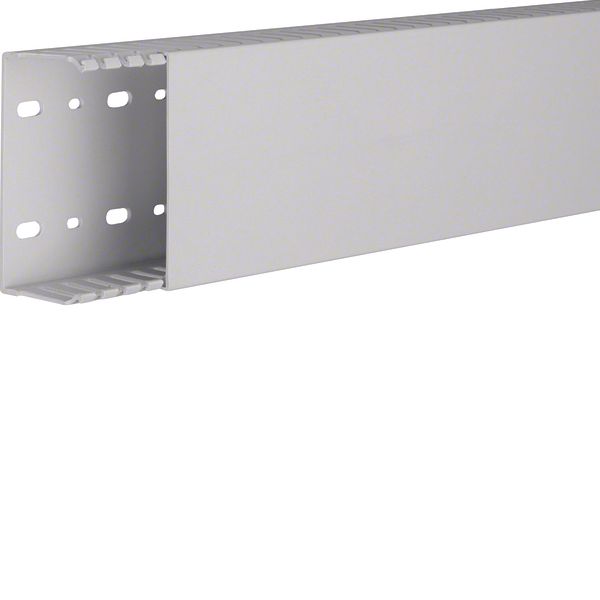 HNG 50100/0 Grey 7035 Trunking image 1