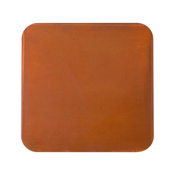 MANA RUSTY ,rust image 1