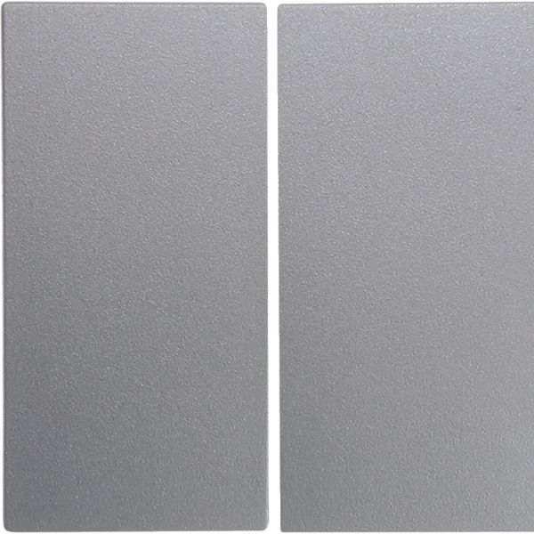 Rocker 2gang, B.7, al., matt, lacq. image 1