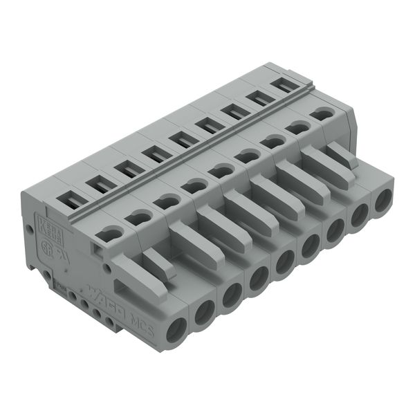 1-conductor female connector CAGE CLAMP® 2.5 mm² gray image 1