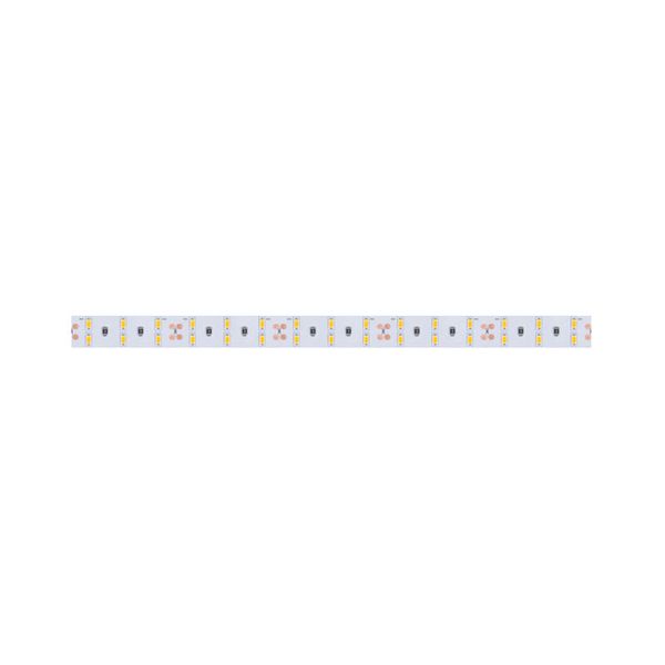 PANLUX LED strip SMD 28.8W 24V IP20 1pc=5m image 1