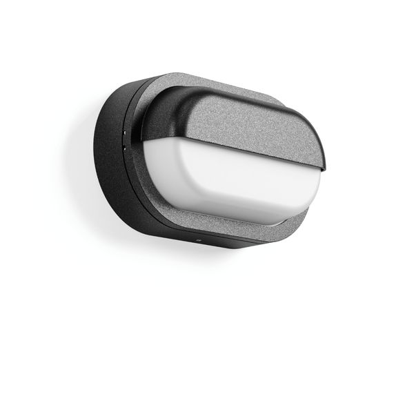 Alu-Lux oval, 12 W, 330 lm, 840, anthracite, Phase-cut Wall luminaires image 1