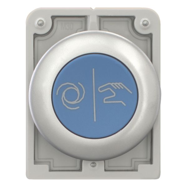 M30C-FD-B-X217 Pushbutton, RMQ-Titan, Flat, momentary, Blue, inscribed, Metal bezel image 6