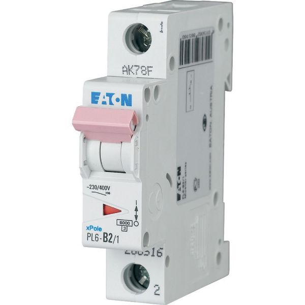 PL6-C2/1 Miniature circuit breaker (MCB), 2 A, 1p, characteristic: C image 2
