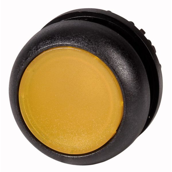 M22S-DL-Y Illuminated pushbutton actuator, RMQ-Titan, Flush, momentary, yellow, Blank, Bezel: black image 1