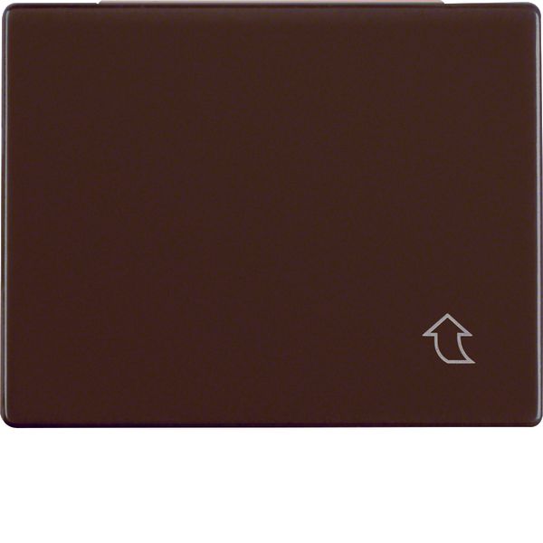 Interm. ring hinged cover f. centre plate 50x50 mm, arsys brown gl. image 1