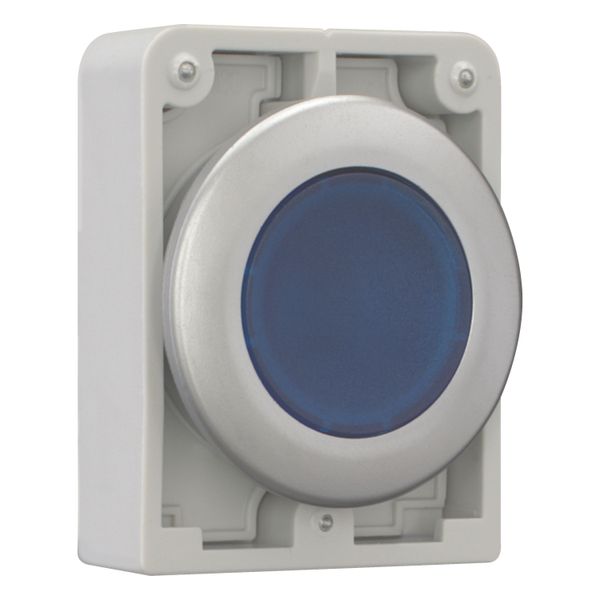 M30C-FDL-B Illuminated pushbutton actuator, RMQ-Titan, Flat, momentary, Blue, Blank, Metal bezel image 12