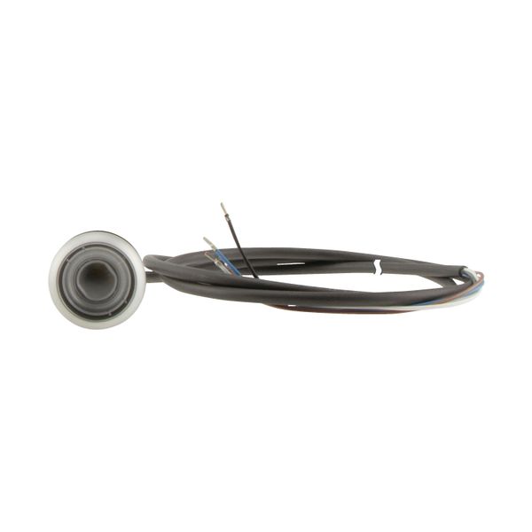 C22-DR-X-K01-P62 Pushbutton, classic, flat, maintained, 1 N/C, cable (black) with non-terminated end, 4 pole, 1 m image 14