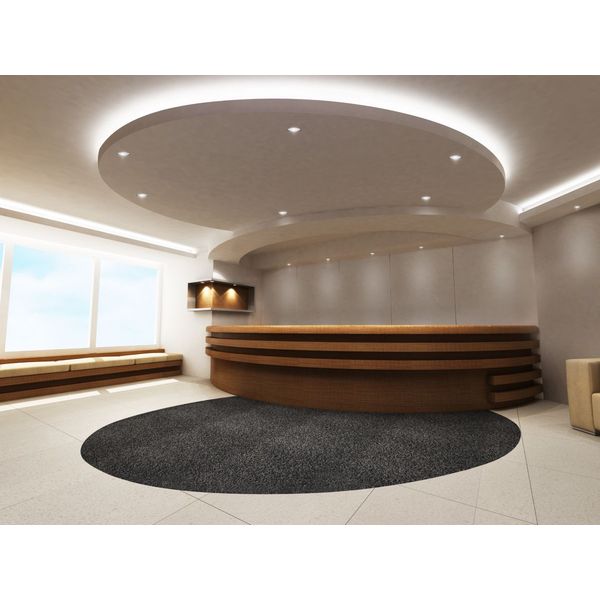 RS156B LED12-WB-/840 D68 PSD PI10 WH image 5