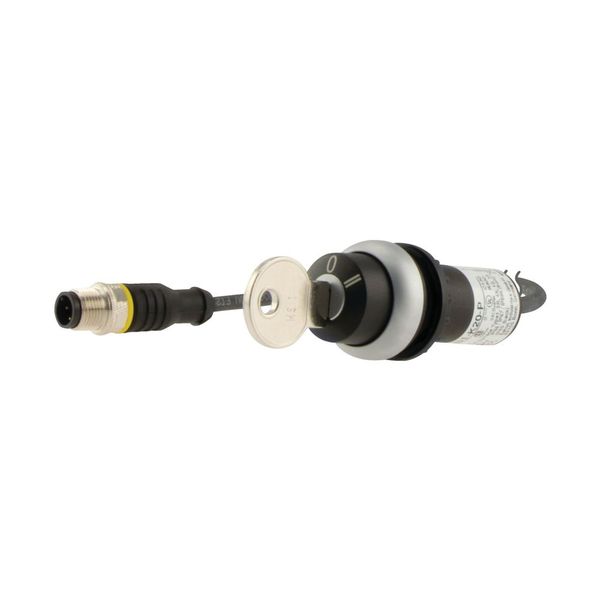 C22-WRS3-MS1-K20-P5 Key-operated actuator, RMQ compact solution, maintained, 2 N/O, Cable (black) with M12A plug, 4 pole, 1 m, 3 positions, MS1, Bezel: titanium image 15