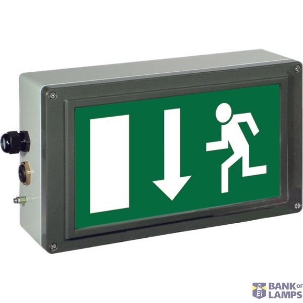 Ex-escape sign luminaires EX-LITE for zone 1/21, Pictogram: EN 1838, Arrow: 6 Clock image 1