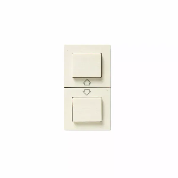 TWIN 10A SINGLE POLE PUSH TO MAKE RETRACTIVE WITH ARROW  SYMBOLS image 1