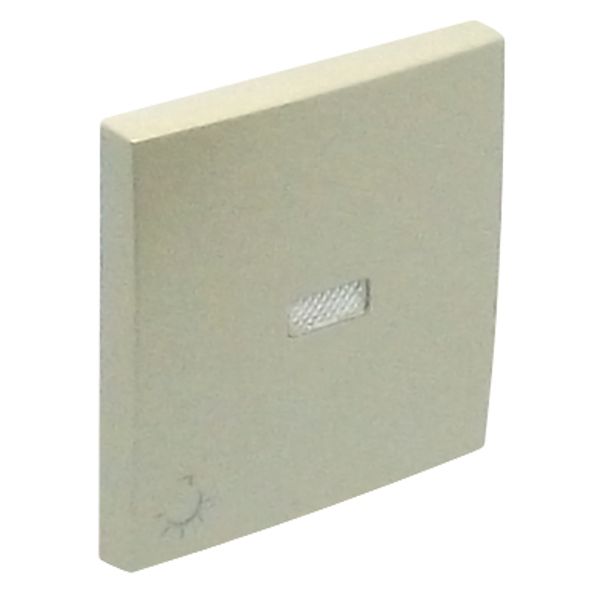 ROCK F/LIGHT SWITCH/PUSH-BUT W/LAMP SYMB PEAR image 2