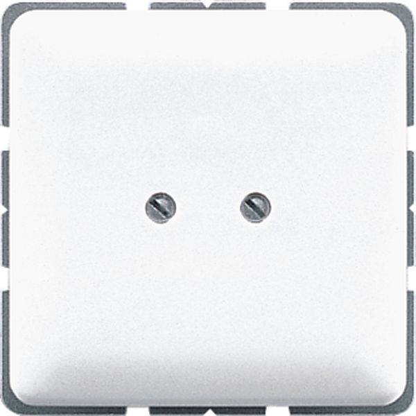 Blank Plate,White Alp CD561BWW image 2