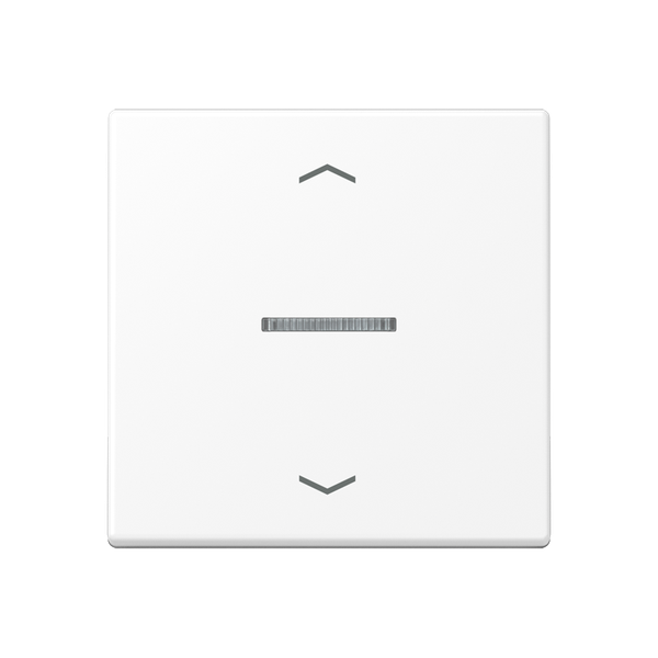 JUNG HOME push-button 1-gang with arrow BTA17101PWWM image 1
