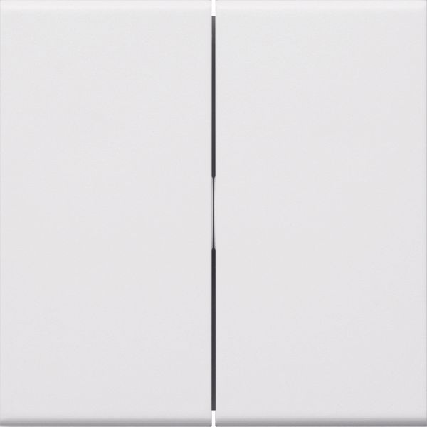 Rocker 2-gang for switch/button for frontplate 55 halogen free traffic image 3