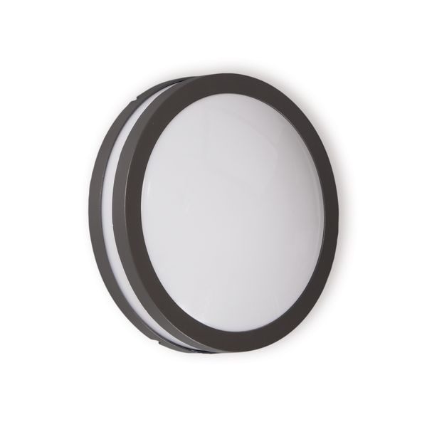 Outdoor luminaire AVN260GH IP54 60W E27 PC O GH image 1