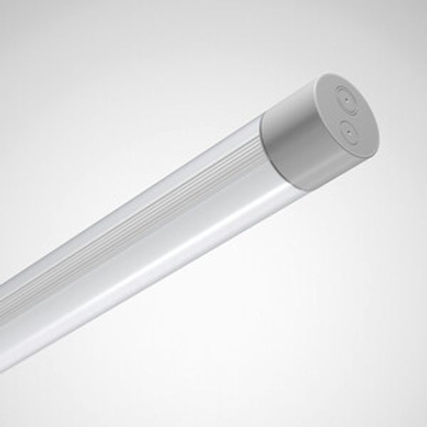 Weather-proof luminaires Tugra Prisms Grey ETDD 36W 5000lm Lambertian (L) IP66 IK03 3 SDCM 7975851 image 1