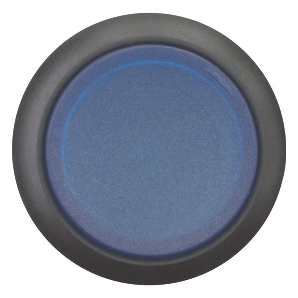 M22S-DRLH-B Illuminated pushbutton actuator, RMQ-Titan, Extended, maintained, Blue, Blank, Bezel: black image 11