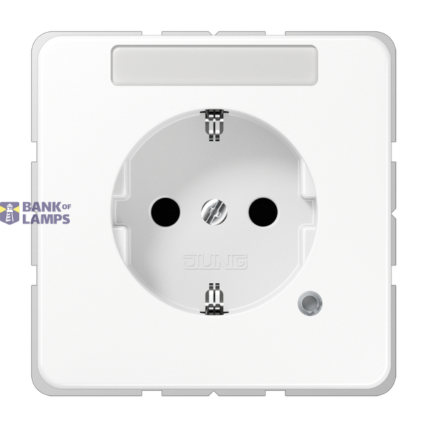 Central plate for SCHUKO® sockets with labeling field, CD series, alpine white image 1