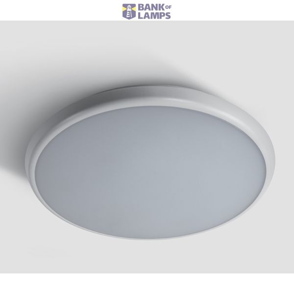 WHITE PLAFO 25W CW IP54 230V image 1