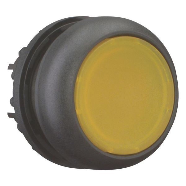 M22S-DL-Y Illuminated pushbutton actuator, RMQ-Titan, Flush, momentary, yellow, Blank, Bezel: black image 11