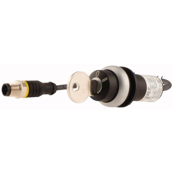 C22-WRS3-MS1-K20-P5 Key-operated actuator, RMQ compact solution, maintained, 2 N/O, Cable (black) with M12A plug, 4 pole, 1 m, 3 positions, MS1, Bezel: titanium image 3