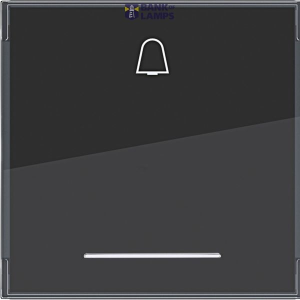 Rocker single, bell symbol, large text field, clear lens, A.x/C.x, anthracite image 1