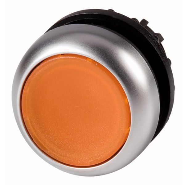 M22-DL-A Illuminated pushbutton actuator, RMQ-Titan, Flush, momentary, orange, Blank, Bezel: titanium image 1