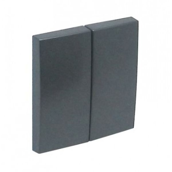 ROCKER F/DOUBLE-FUNCTION MECHANISM GREY image 1