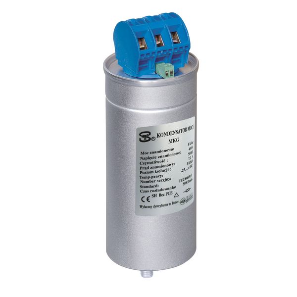 Low-voltage MKG gas condenser KG_MKG-25-450 image 1