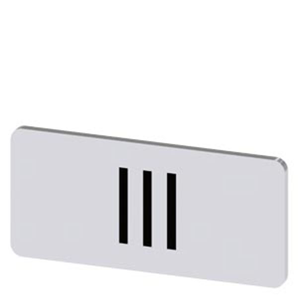 Labeling plate 12.5 x 27 mm, silver-colored label, icon: III* image 1